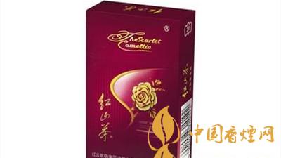 紅山茶紫市值多少錢？紅山茶紫口味如何？