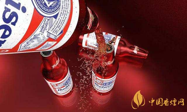 百威啤酒價(jià)格是多少 2020百威啤酒價(jià)格表一覽