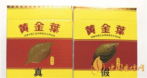 如何辨別黃金葉金滿堂真假？2020黃金葉真假辨別詳情對比