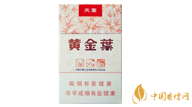 黃金葉天葉真?zhèn)卧趺幢鎰e？天葉真假如何看？