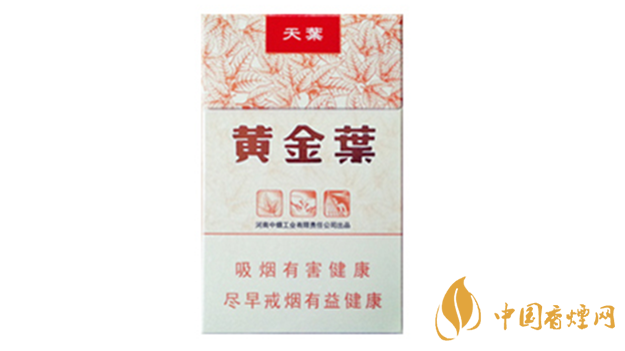 黃金葉天葉真假怎樣區(qū)分？黃金葉天葉真假識(shí)別