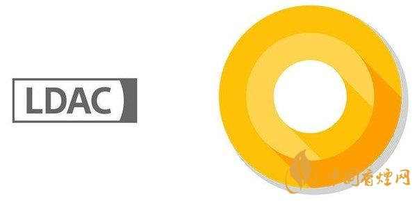 小米11支持ldac 小米11支持無(wú)線充電嗎