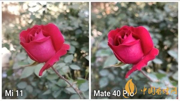 小米11和華為Mate40Pro哪個(gè)拍照好-拍照評測