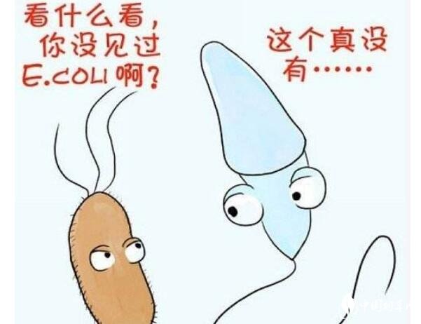 長期吸煙的危害有哪些 喝酒抽煙對精子的影響導致不孕