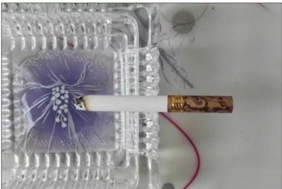 黃鶴樓漫天游，除了短貴沒別的毛病