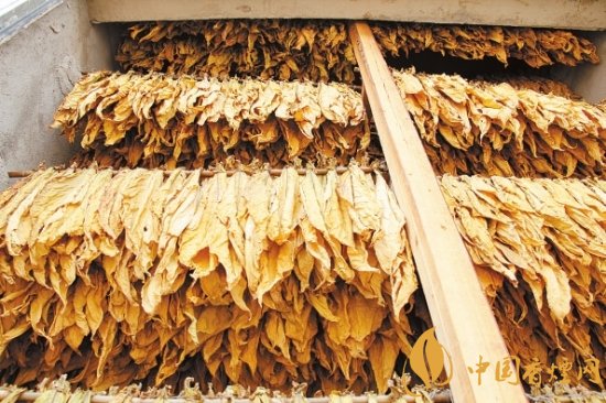 煙葉稅是什么，煙葉稅如何計算