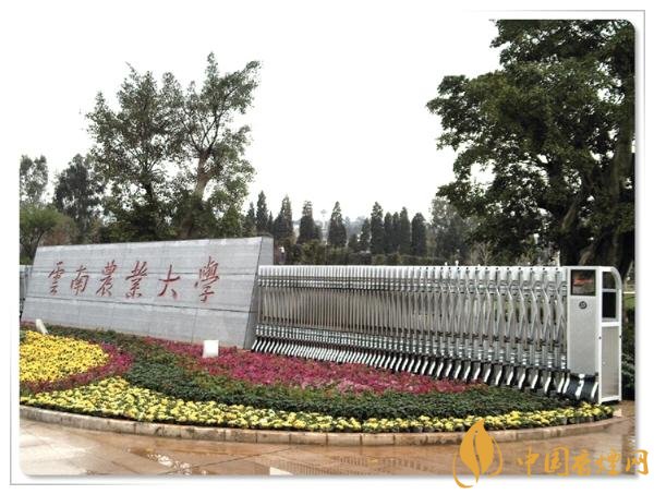 煙草專業(yè)大學(xué)排名，煙草專業(yè)就業(yè)前景好