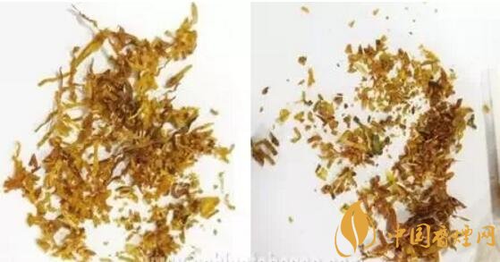 冬蟲夏草（和潤）真假鑒別，春節(jié)防止被騙