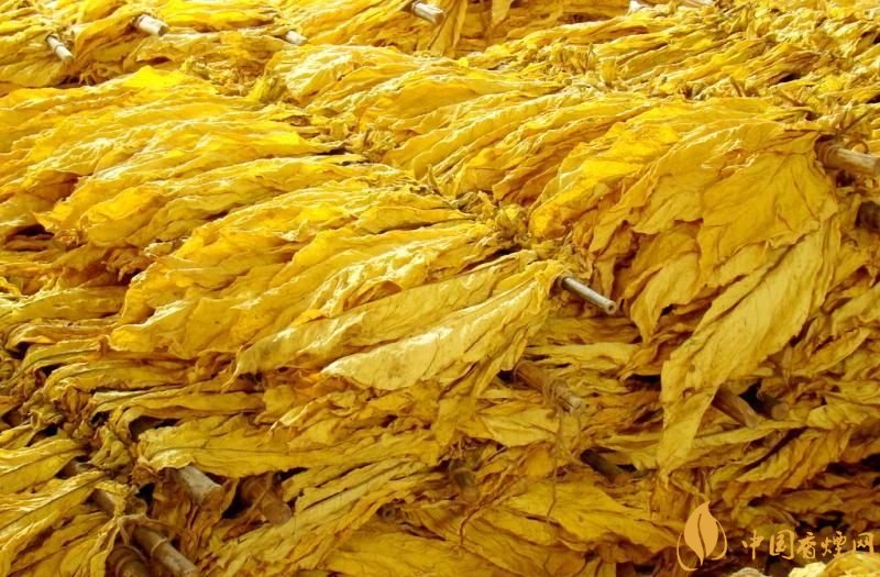 朱砂煙到底是什么煙，云煙朱砂煙有哪幾款