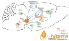 煙癮是什么 煙癮犯了怎么辦！