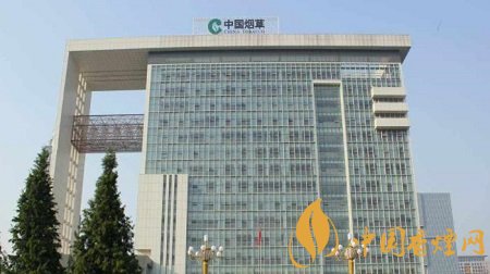 中國煙草多有錢20個阿里都不一定趕得上！