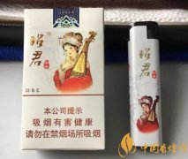 昭君煙多少錢一盒 大青山昭君出塞香煙口感評(píng)測